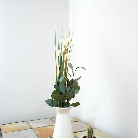 Casa Gabriela Hotel *