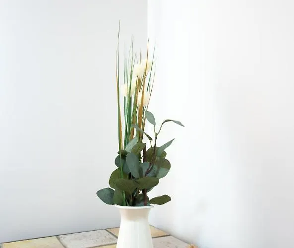 Casa Gabriela Hotel *