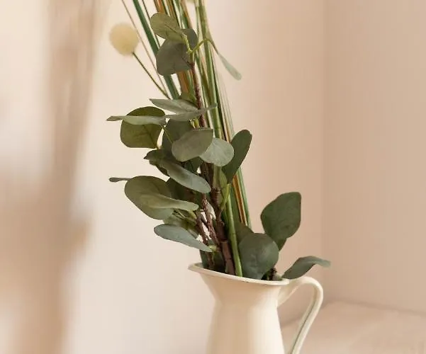 Casa Gabriela Hotel *